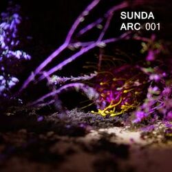 Cover of SUNDA ARC 001
