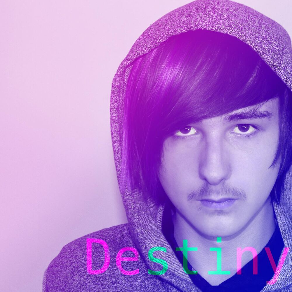 Picture of Destiny