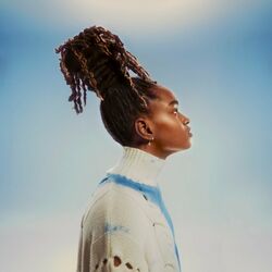Cover of Shine