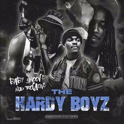 Cover of THE HARDY BOYZ