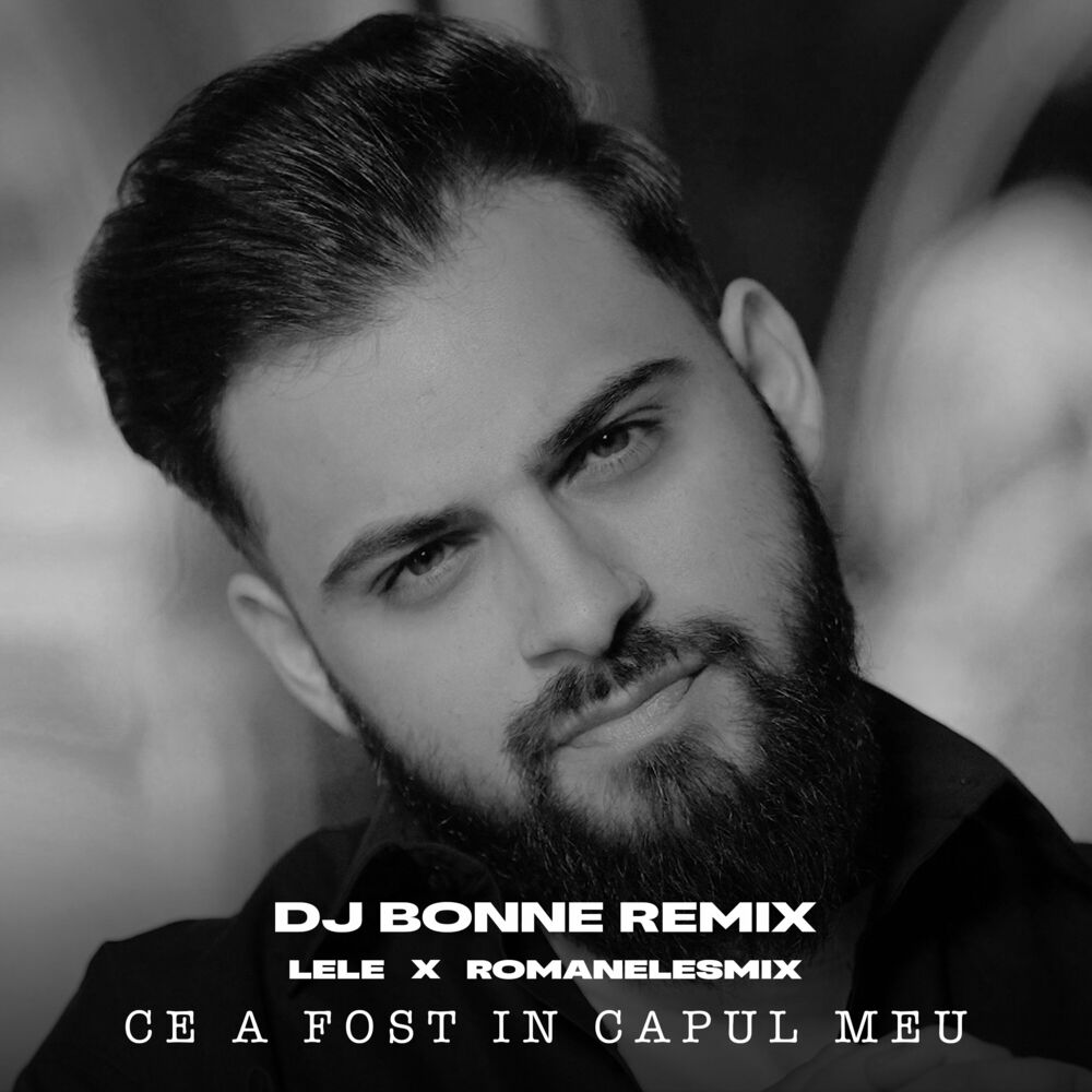 Picture of Ce a fost in capul meu (Dj Bonne Remix)