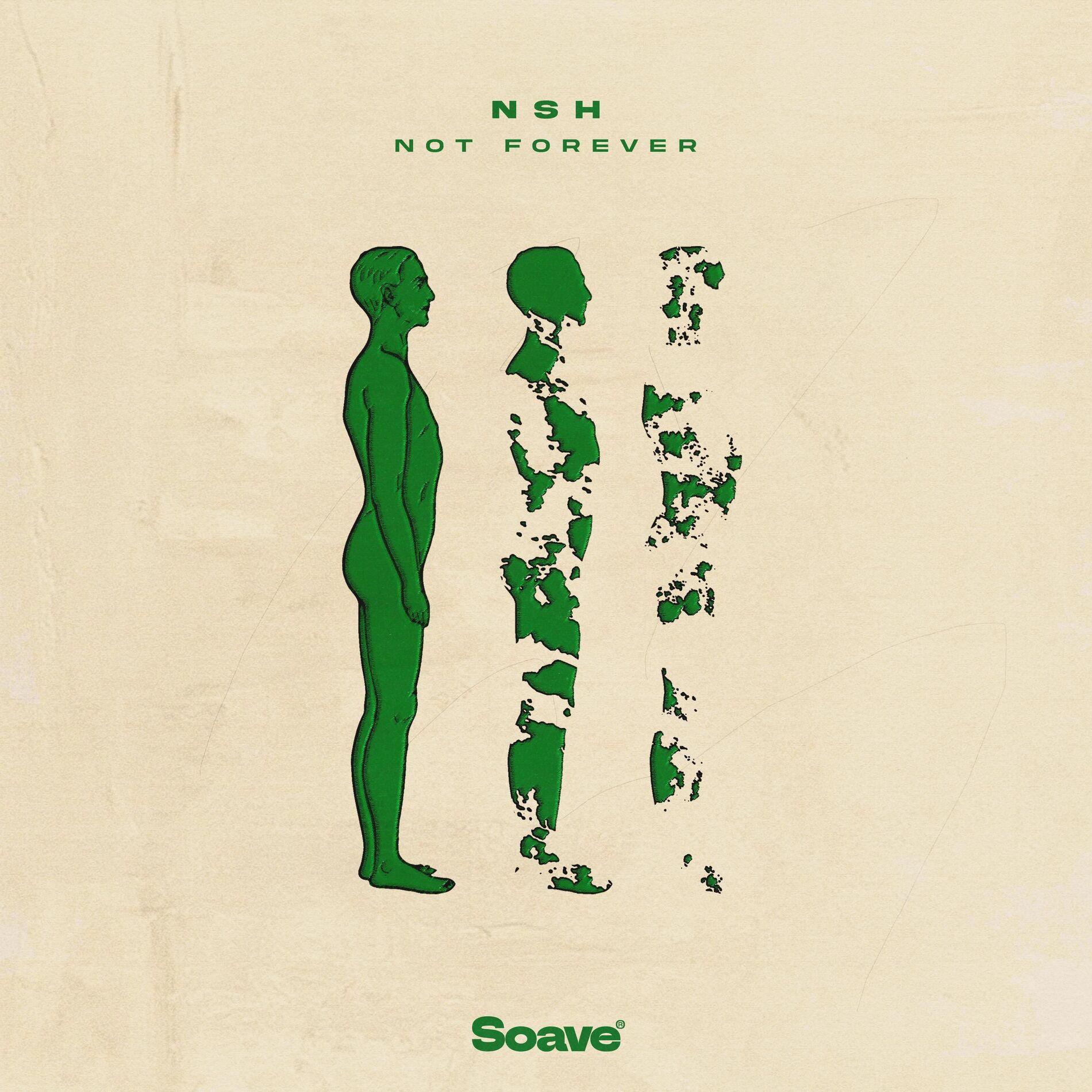 Album cover of Not Forever