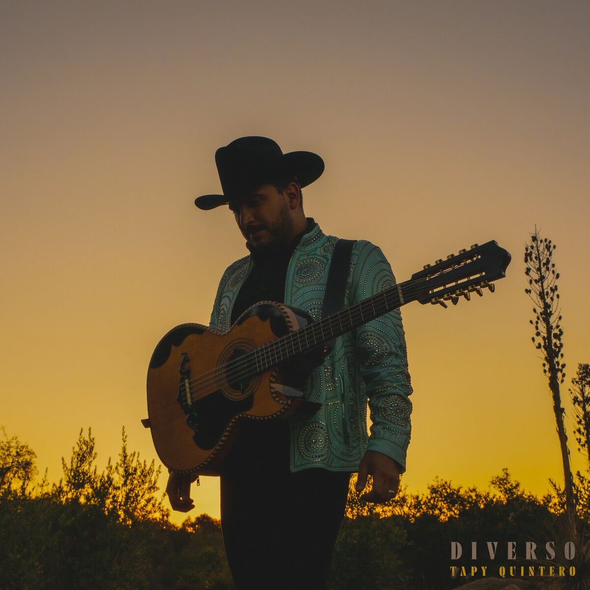 Album cover of Diverso
