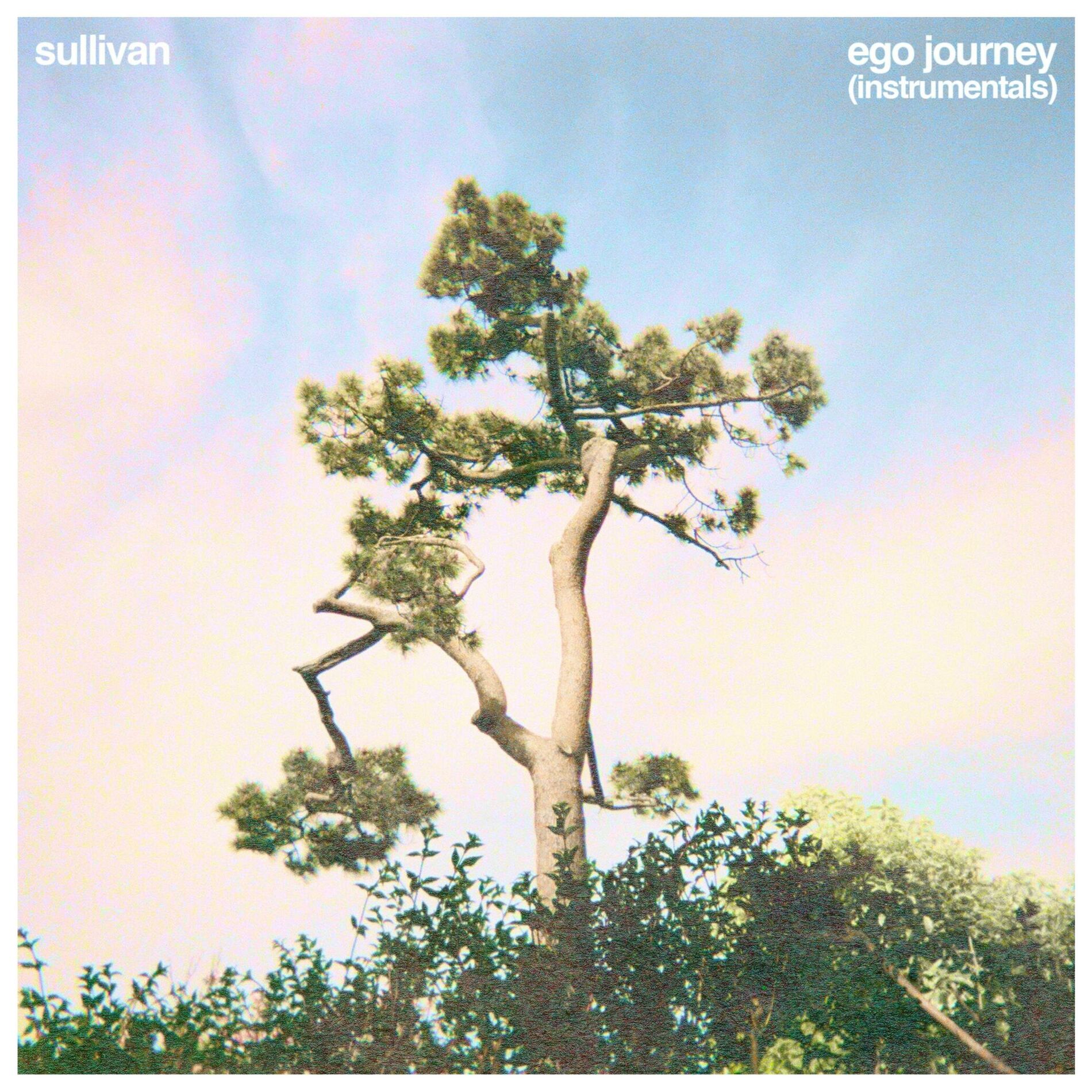 Album cover of EGO JOURNEY (Instrumentals)