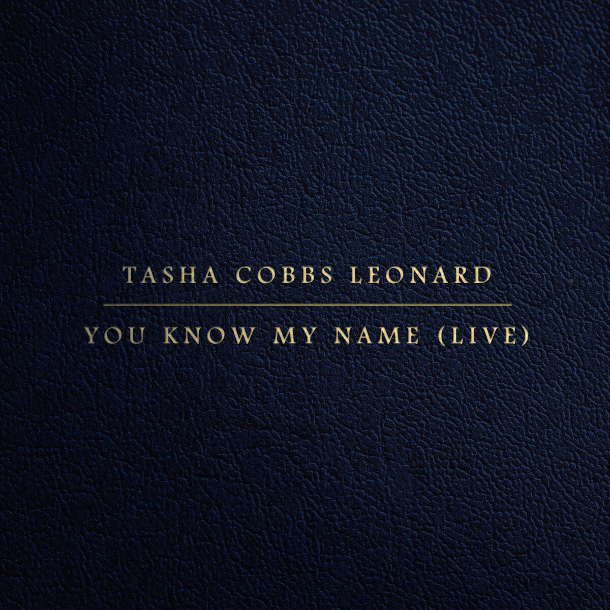Album cover of You Know My Name
