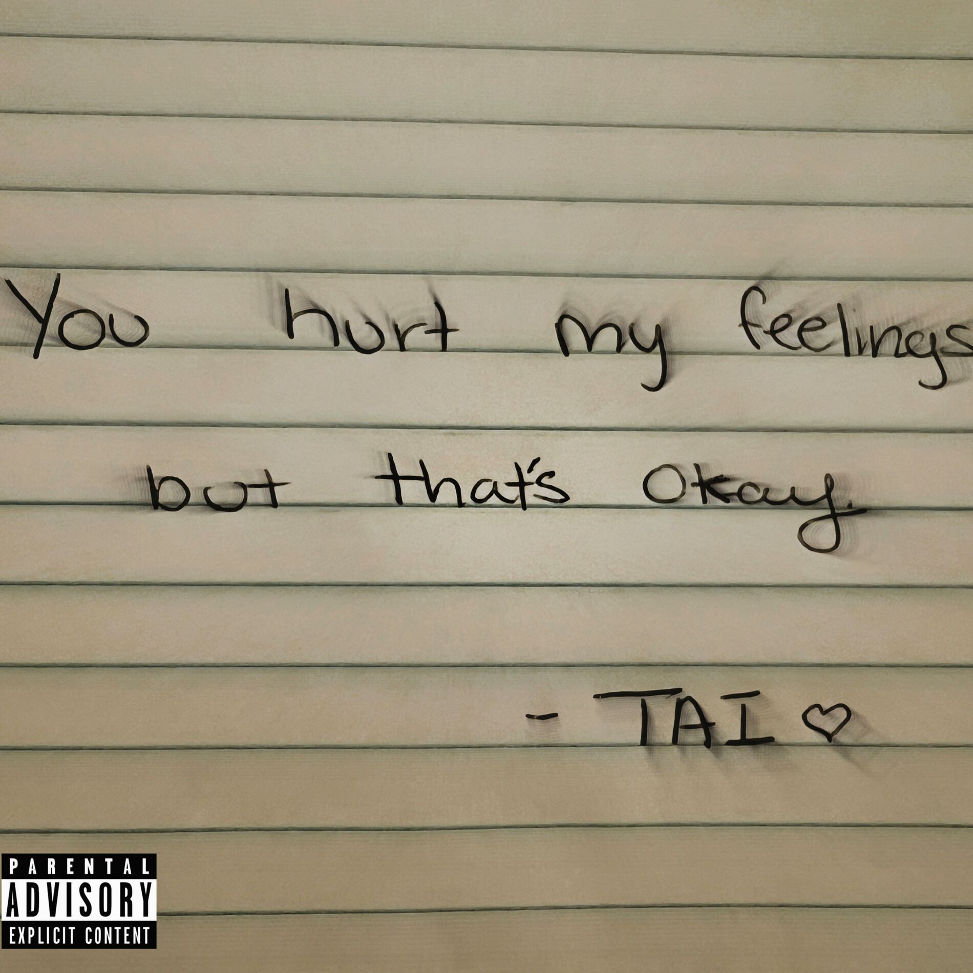 Album cover of You Hurt My Feelings, But That's Okay