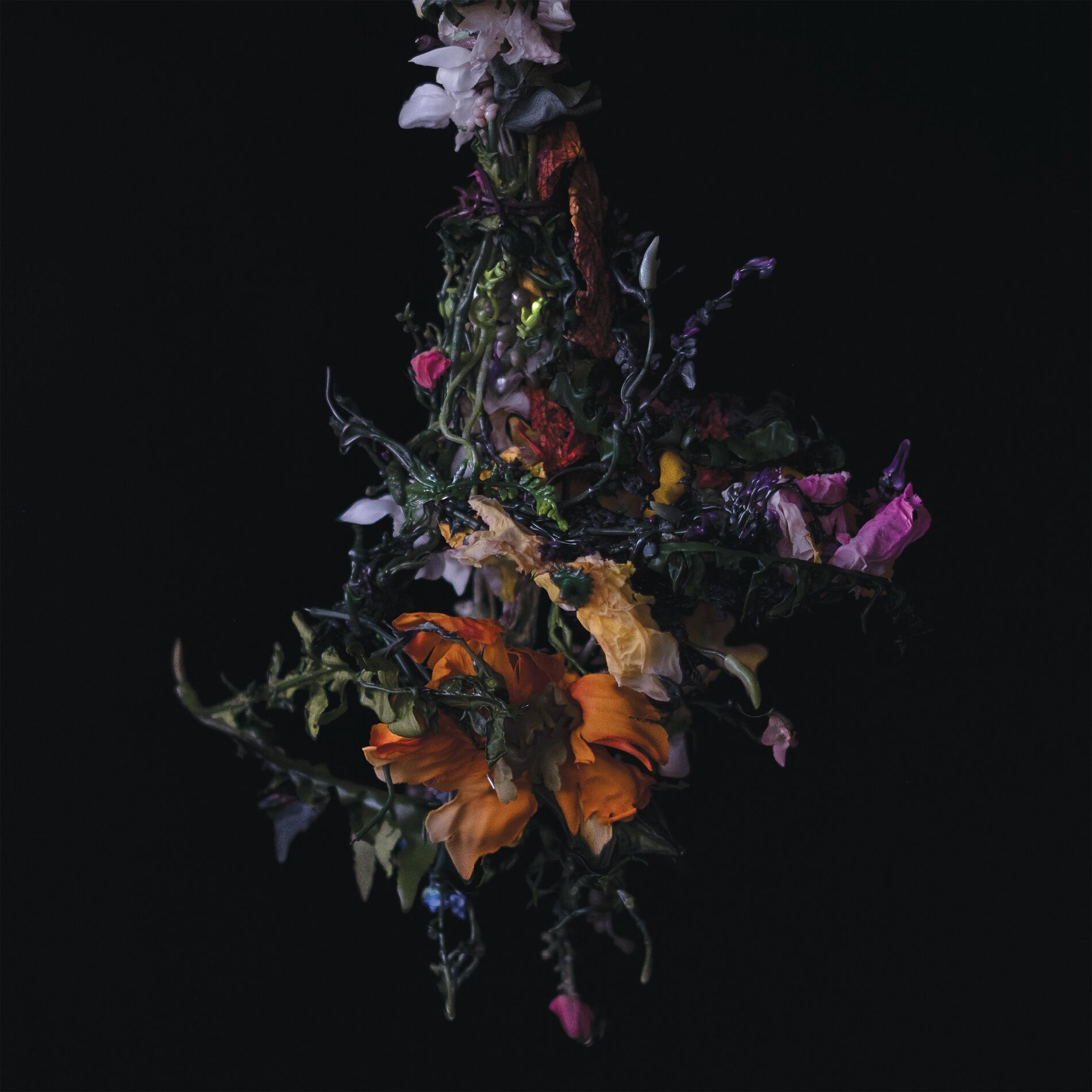 Album cover of nature morte
