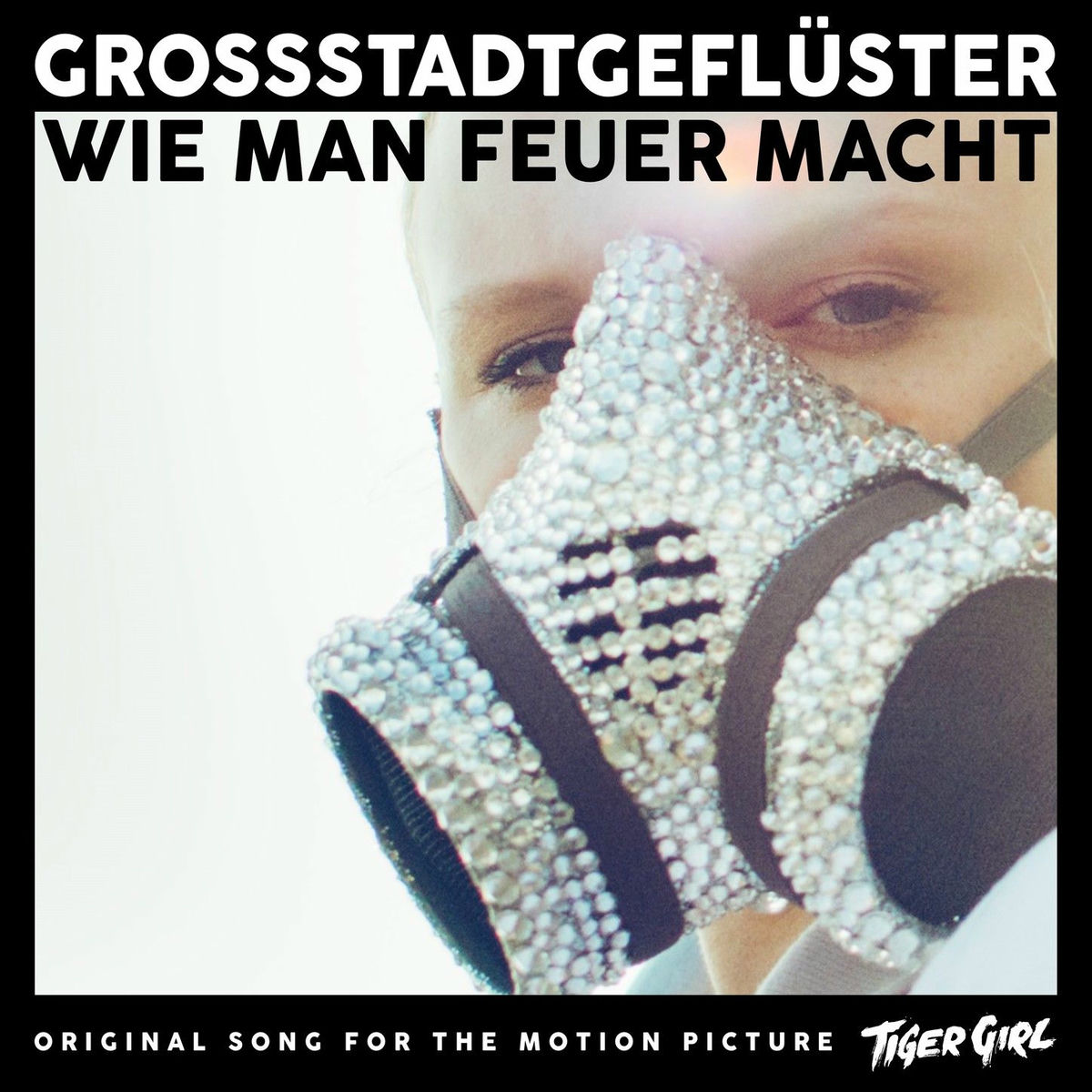 Album cover of Wie man Feuer macht
