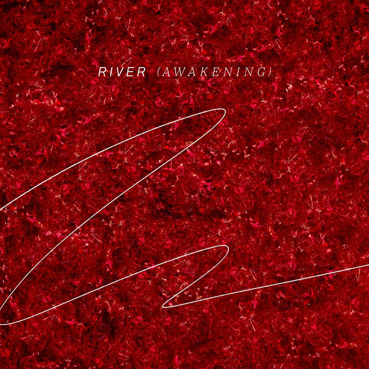 Album cover of River