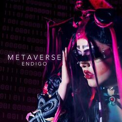 Cover of Metaverse