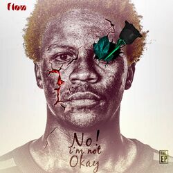 Cover of No! I'm Not Okay