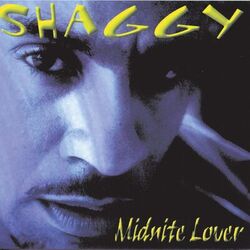 Cover of Midnite Lover