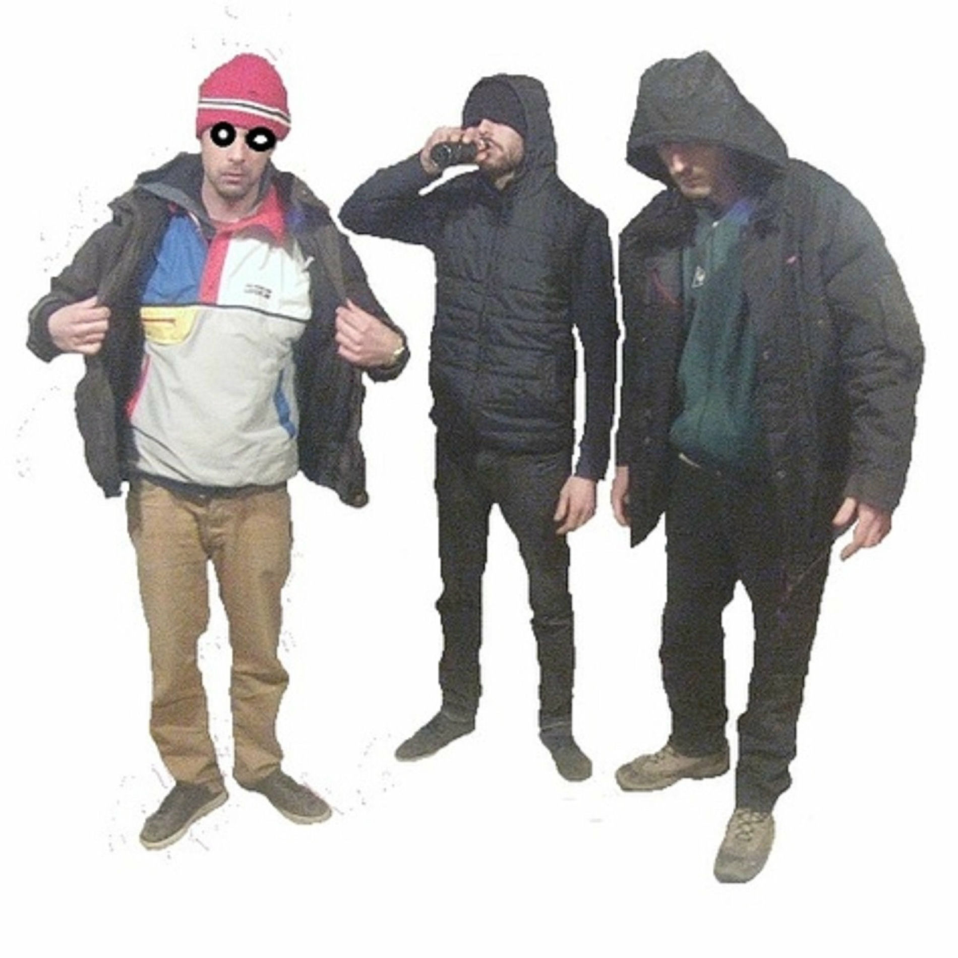 Album cover of Les Chevals & Le Boeuf