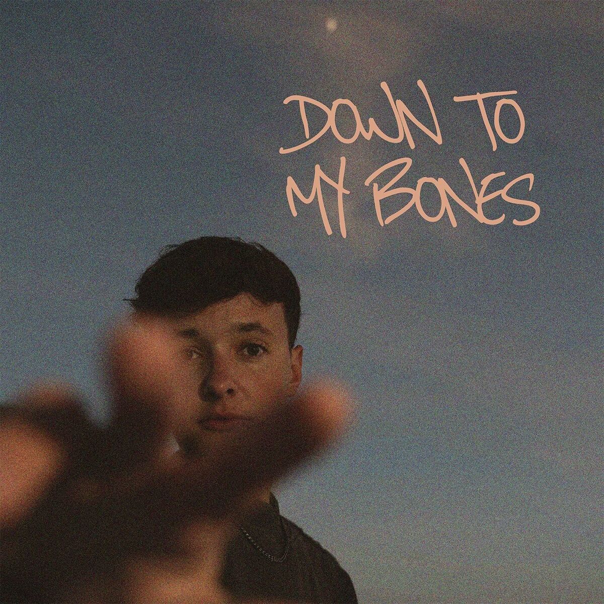 Album cover of Down To My Bones (Radio Edit)