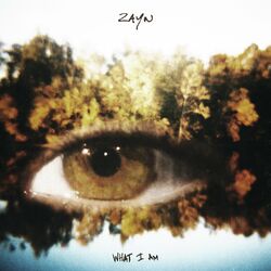 Cover of What I Am