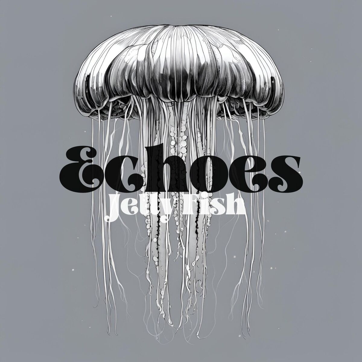 Album cover of Echoes