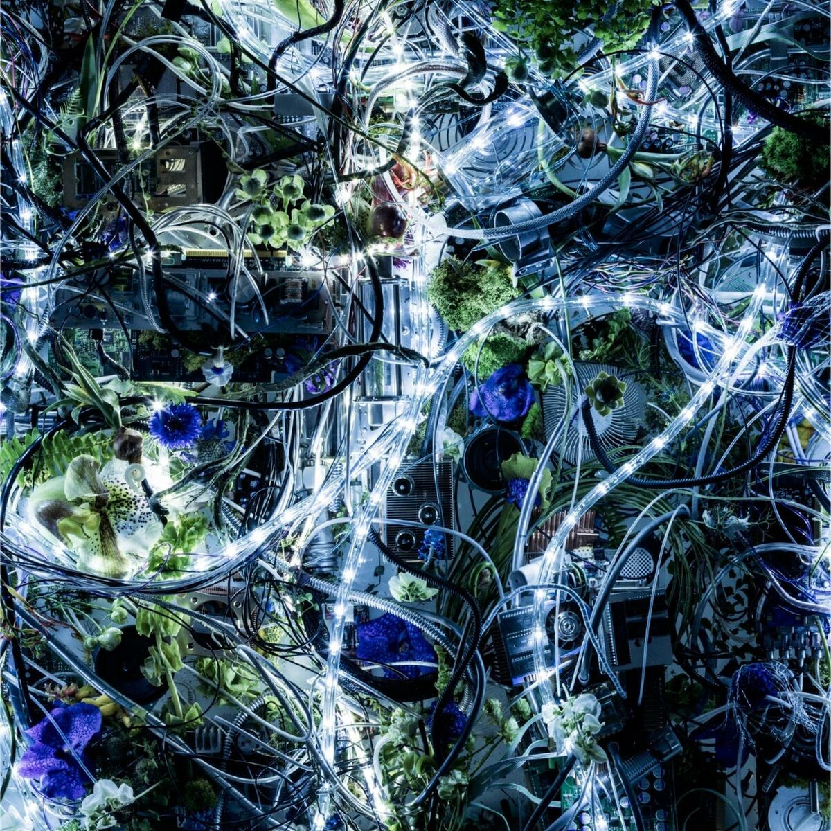 Album cover of Ninelie