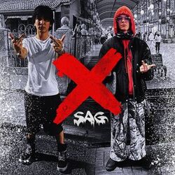 Cover of x sag