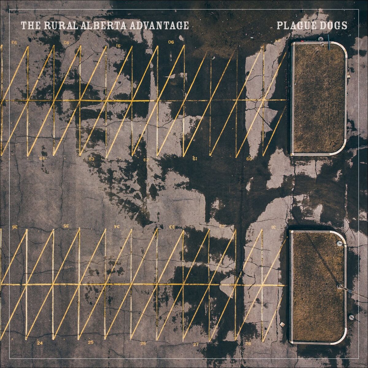 Album cover of Plague Dogs