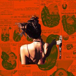 Cover of Mansions