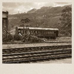 Cover of In Sri Lanka