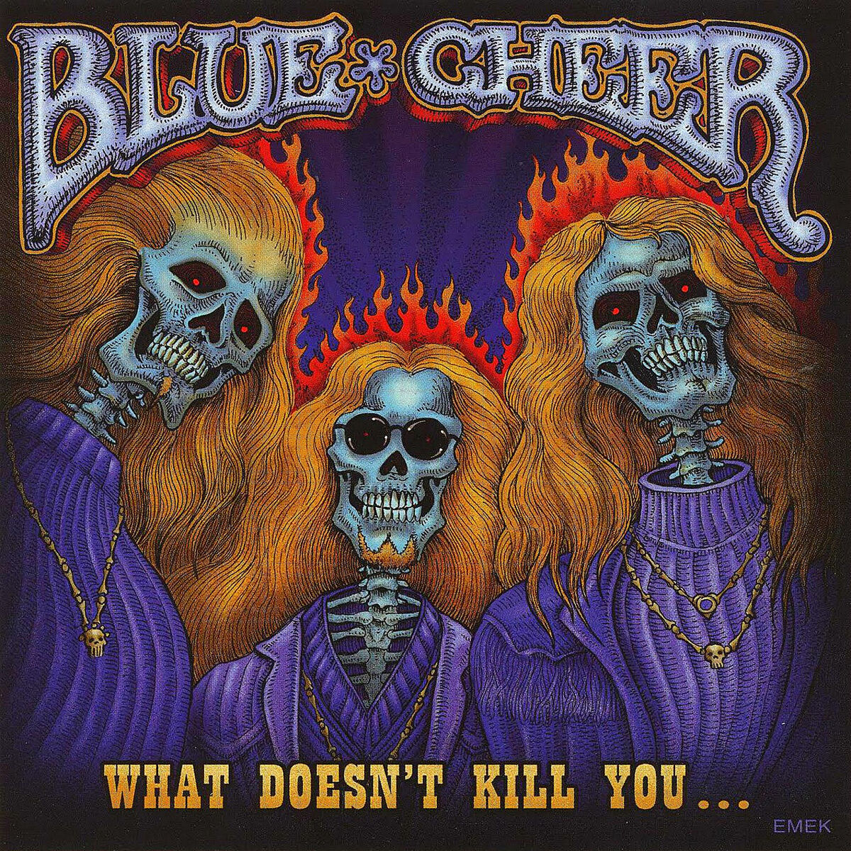 Album cover of What Doesn't Kill You