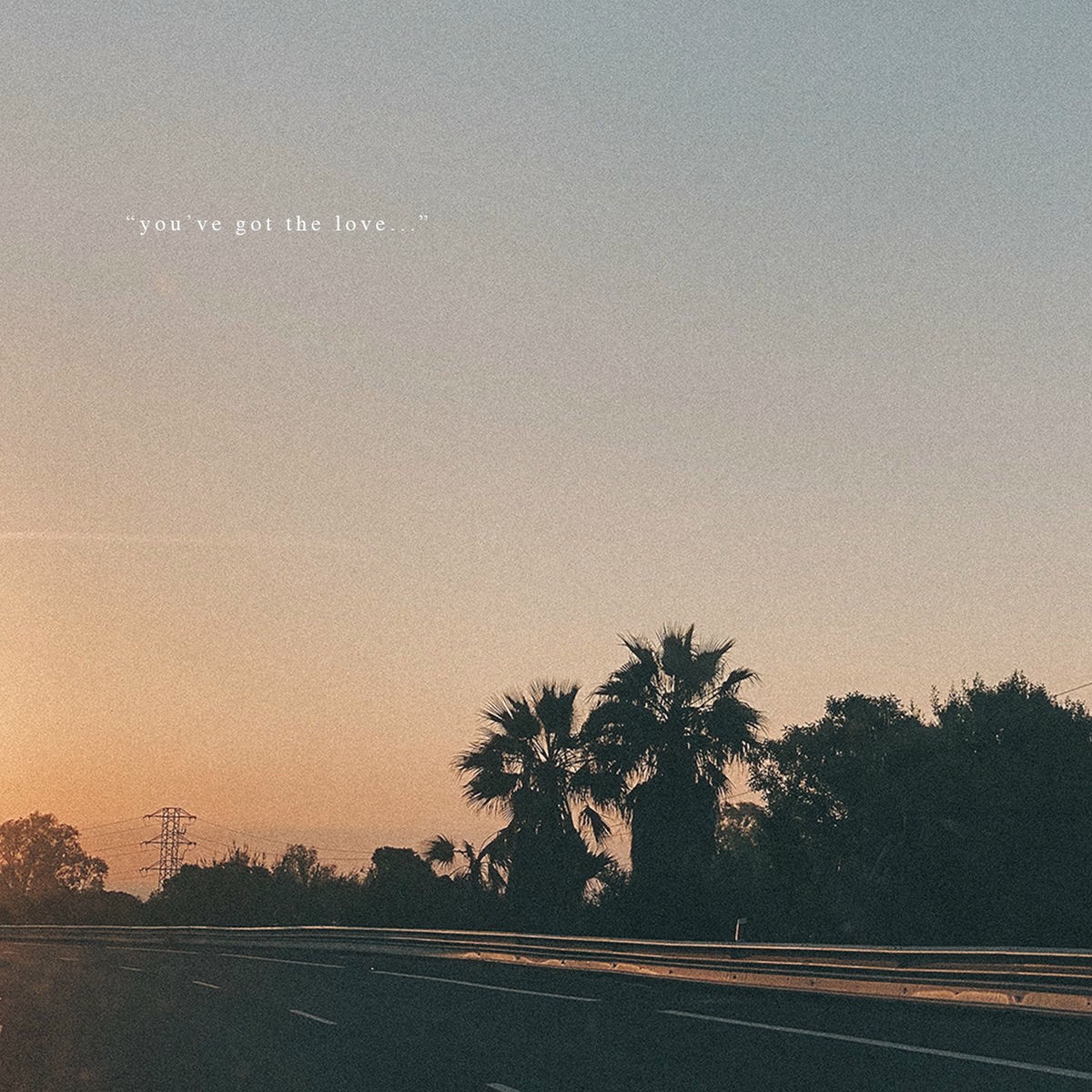 Album cover of You've Got The Love