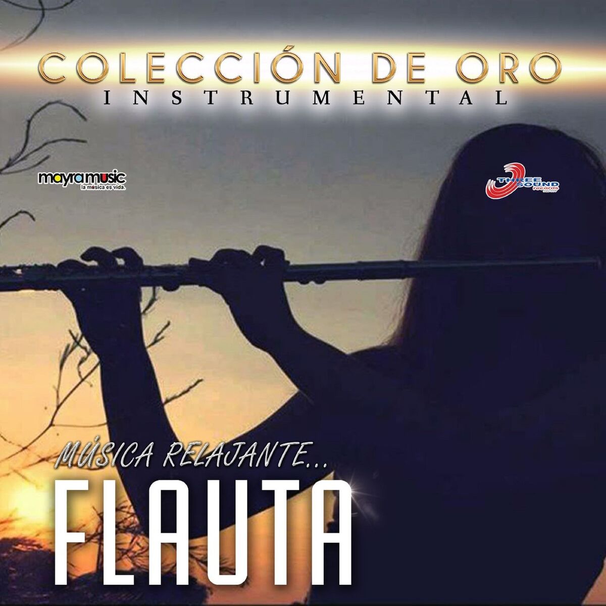 Album cover of A Mi Manera
