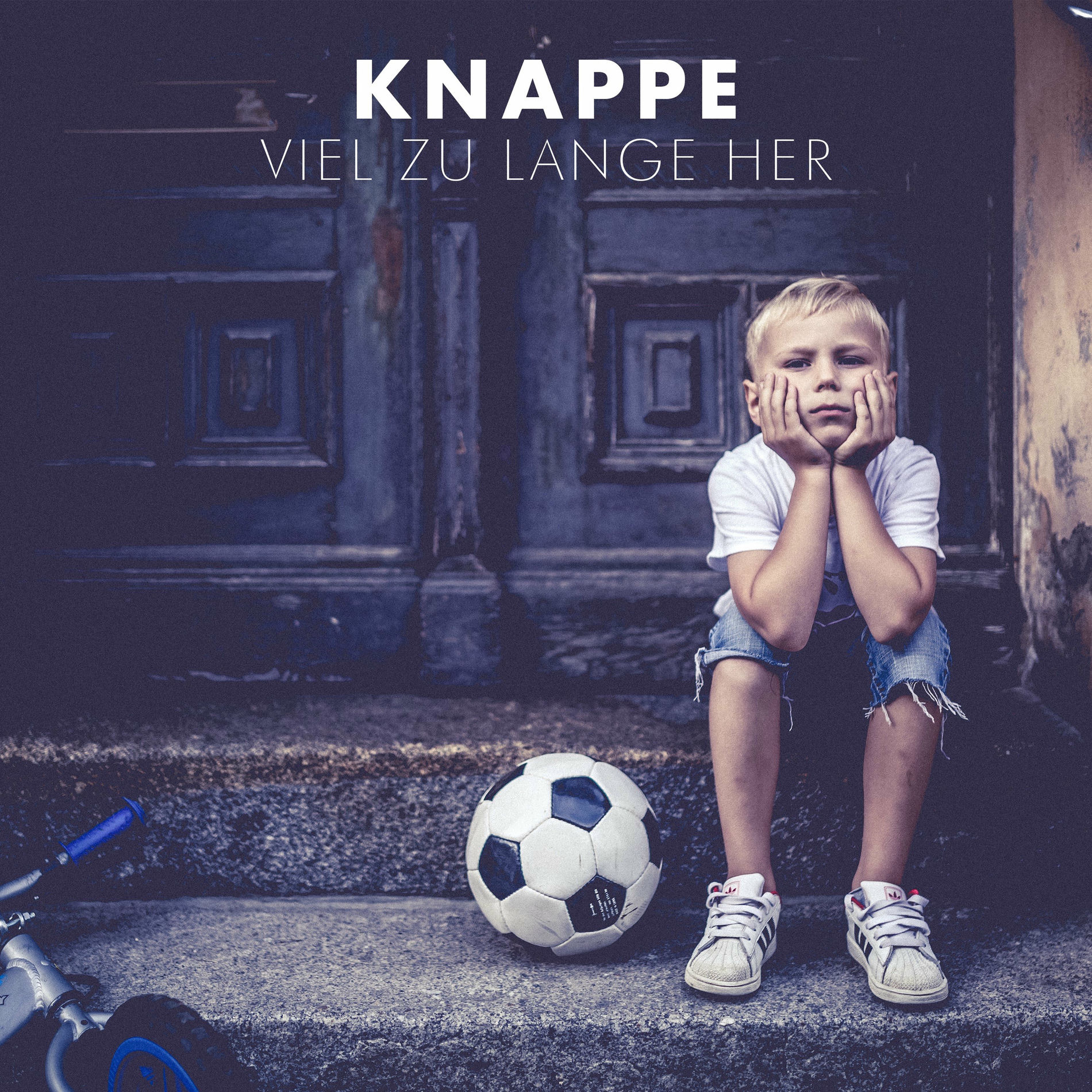 Album cover of Viel zu lange her