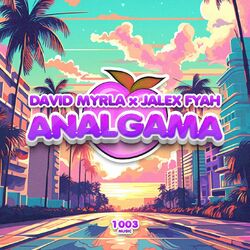 Cover of Analgama