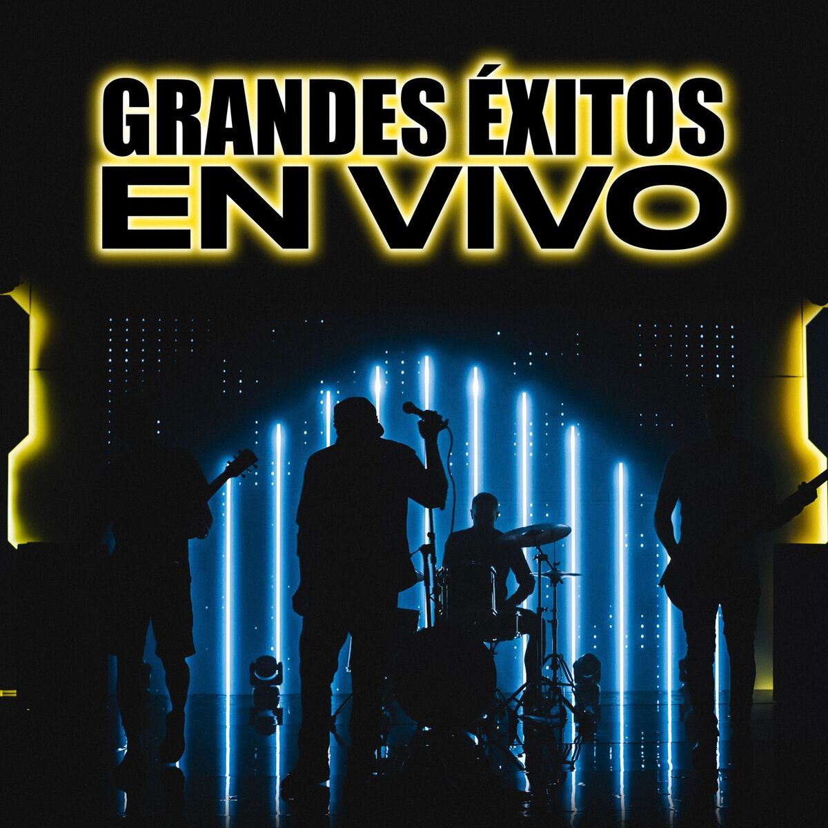 Album cover of Grandes Éxitos En Vivo