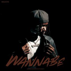 Cover of WANNABE