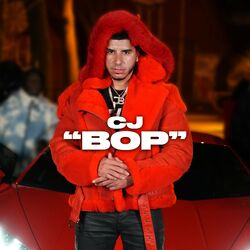 Cover of "BOP"