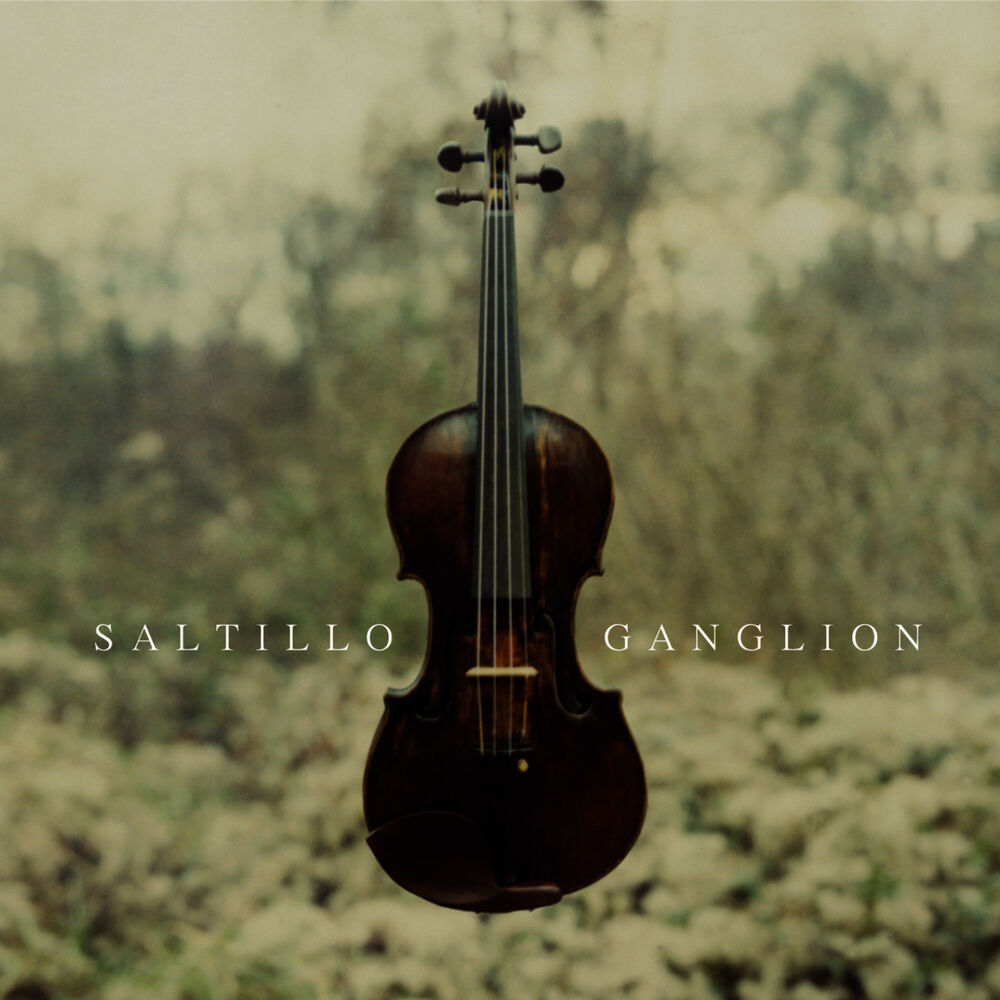 Picture of Ganglion