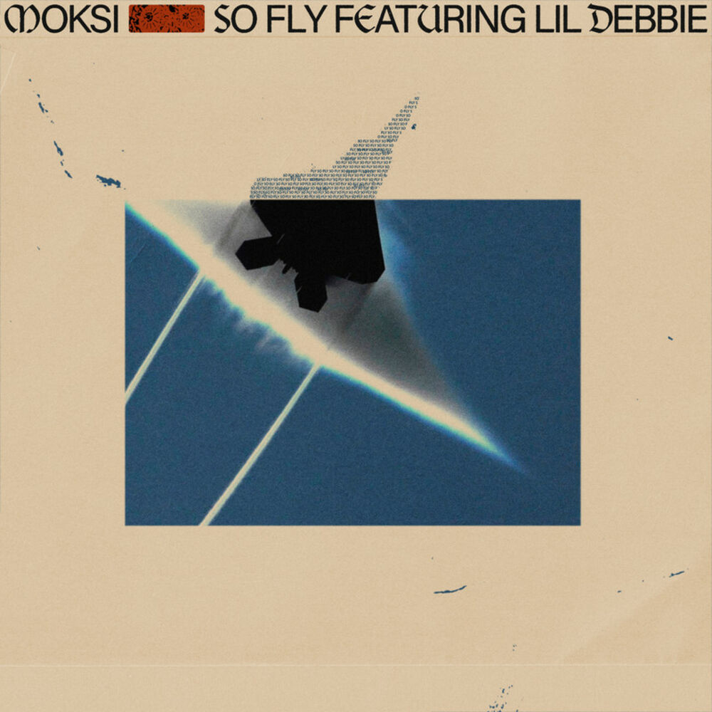 Picture of So Fly