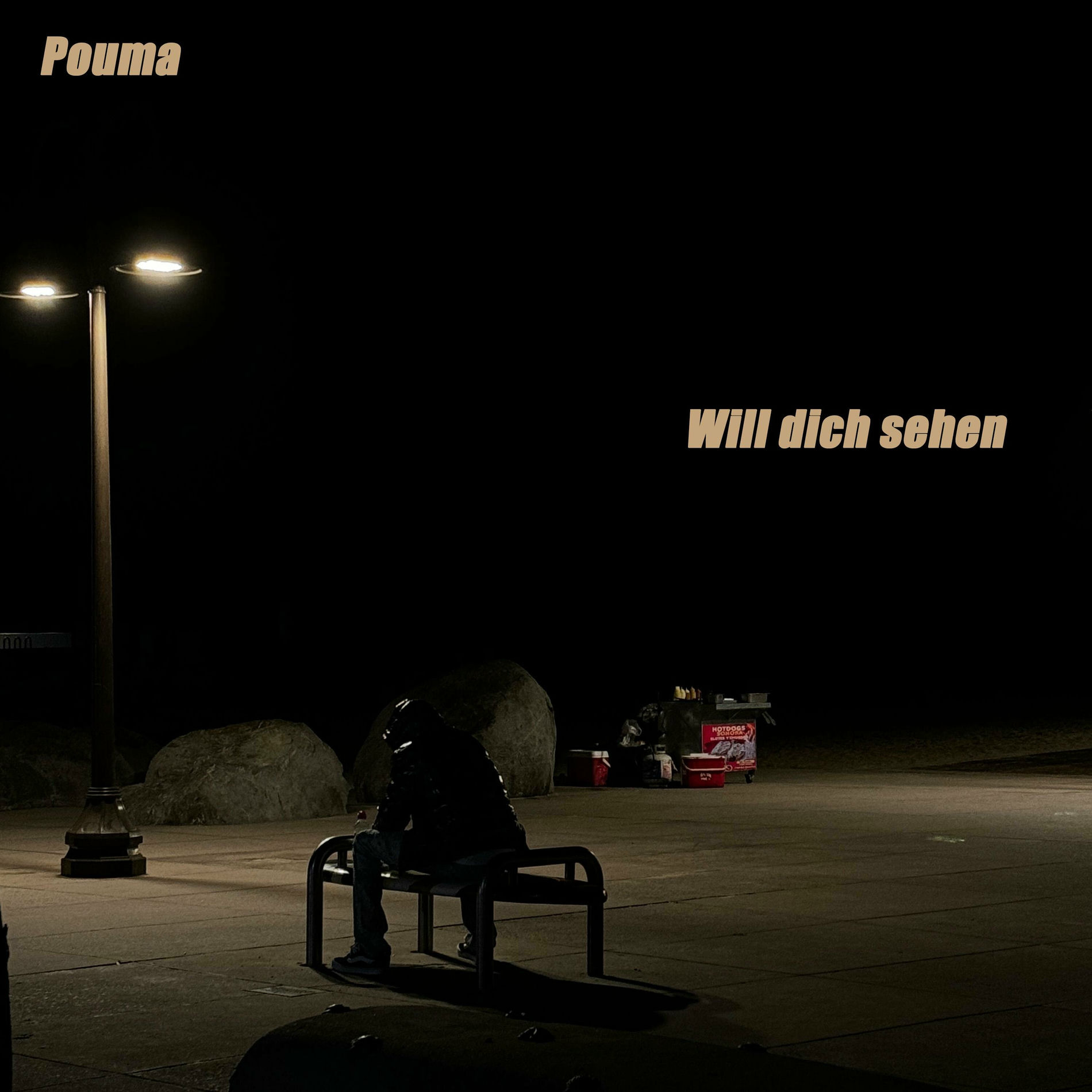 Album cover of Will dich sehen