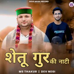 Cover of Shetu Gur Ki Naati