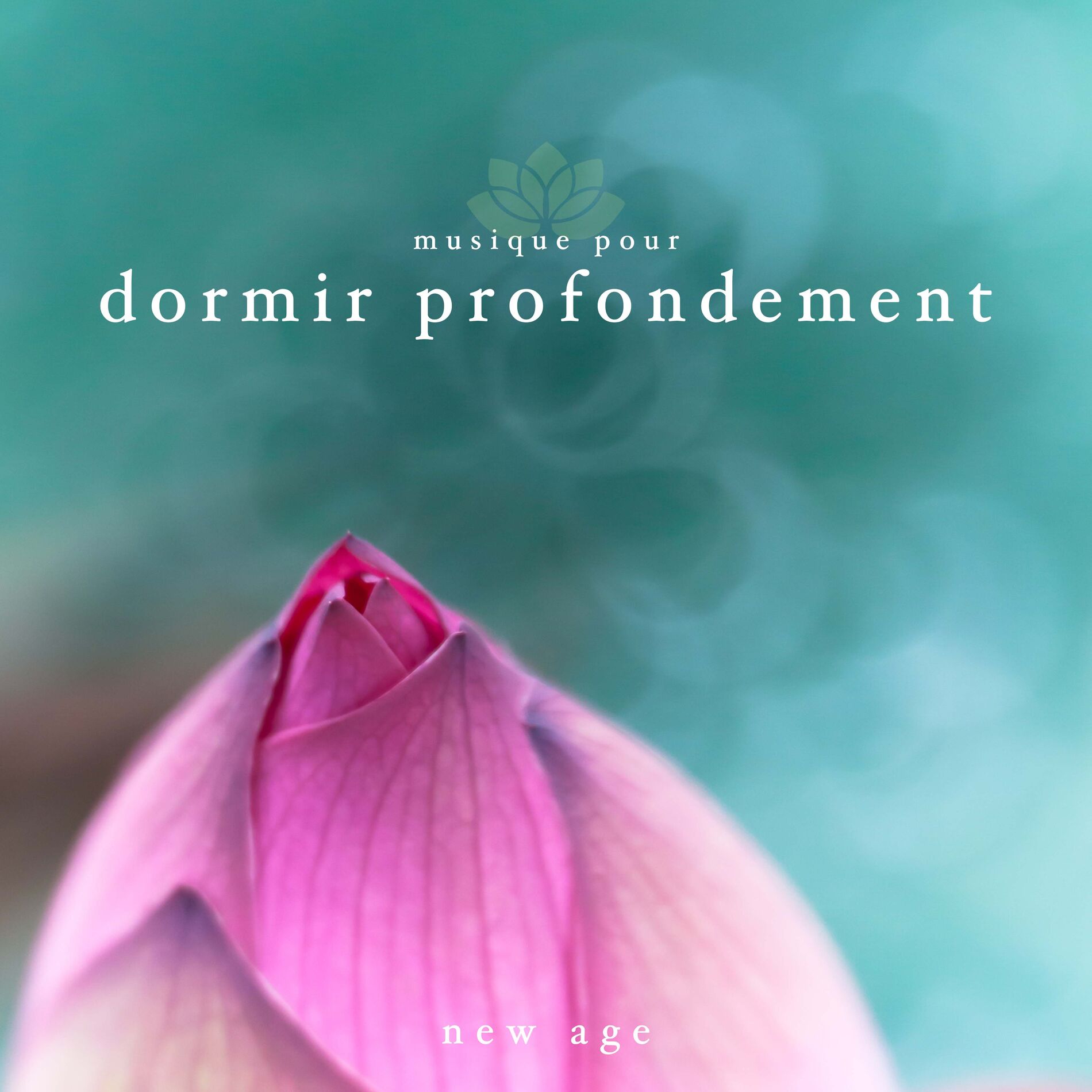 Album cover of Musique pour Dormir