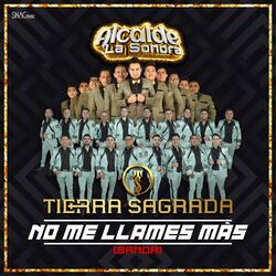 Cover of No Me Llames Más (Banda)