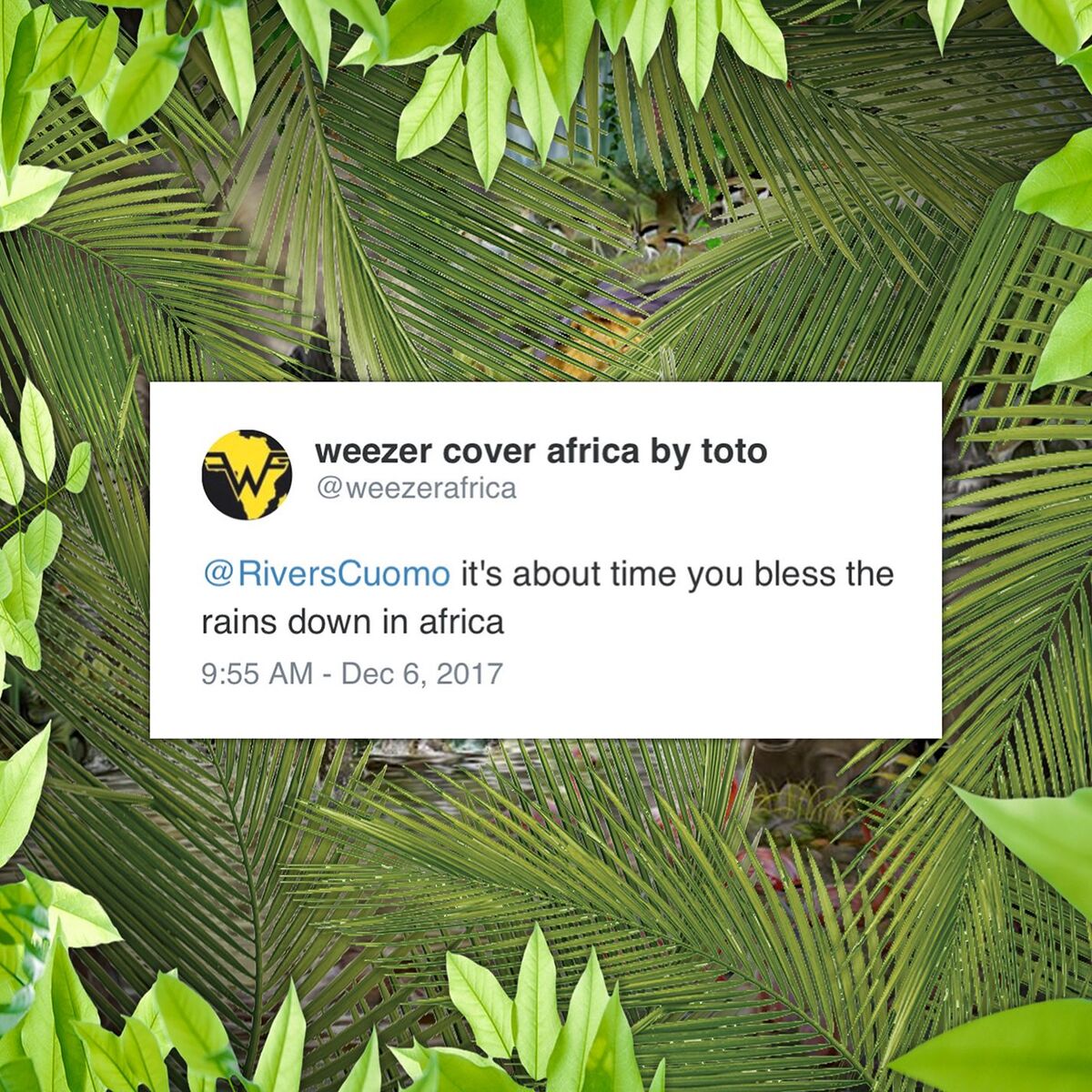 Album cover of Africa