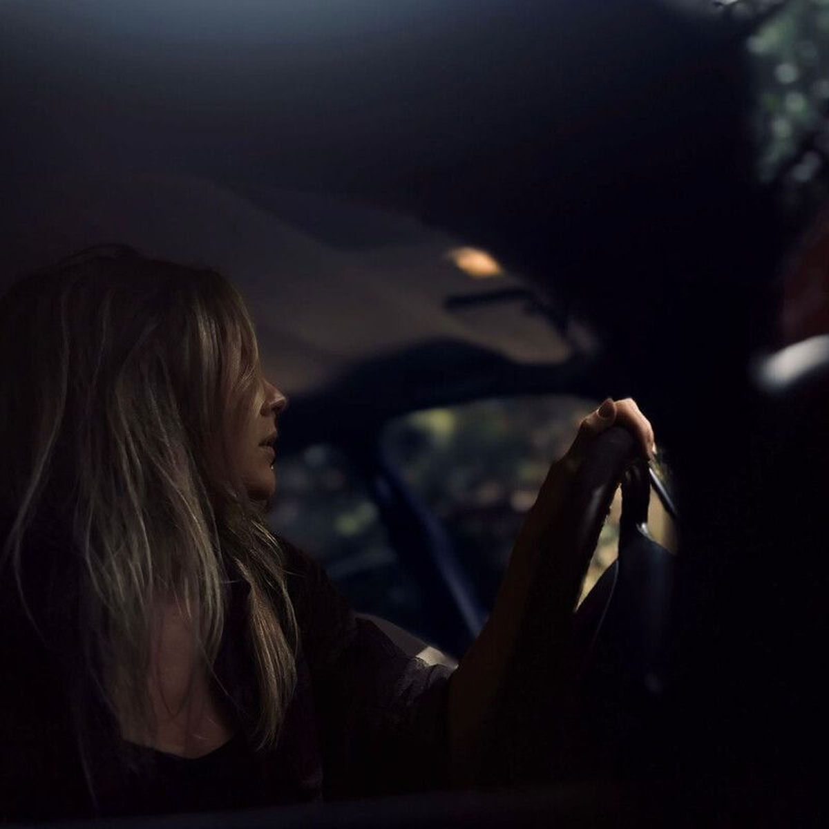 Album cover of Quiet and Fading