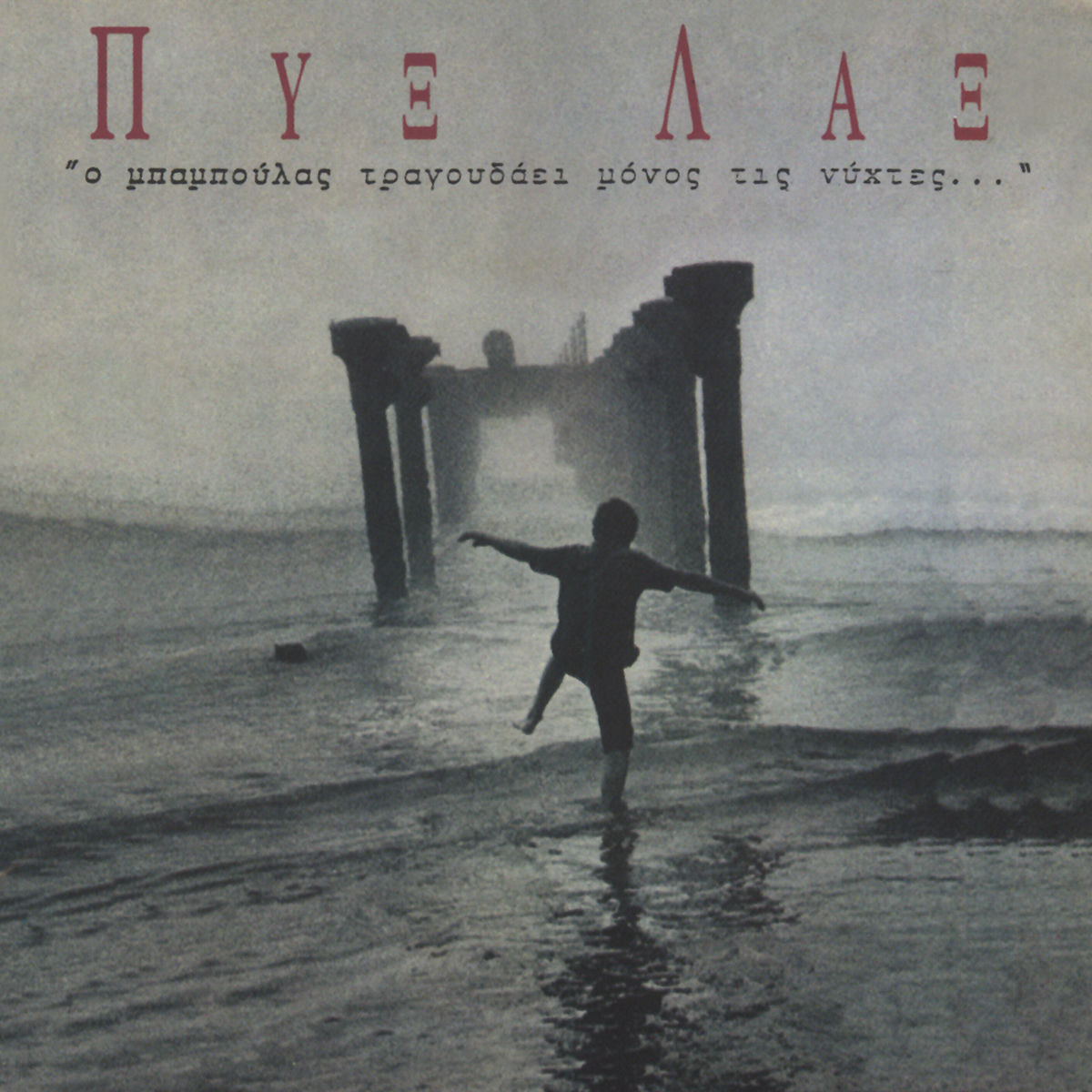 Album cover of Na Gini To Nero Fotia
