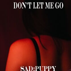 Cover of Don't Let Me Go