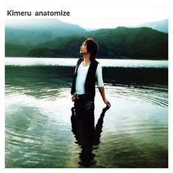 Cover of Anatomize