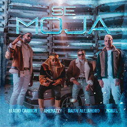 Cover of Se Moja