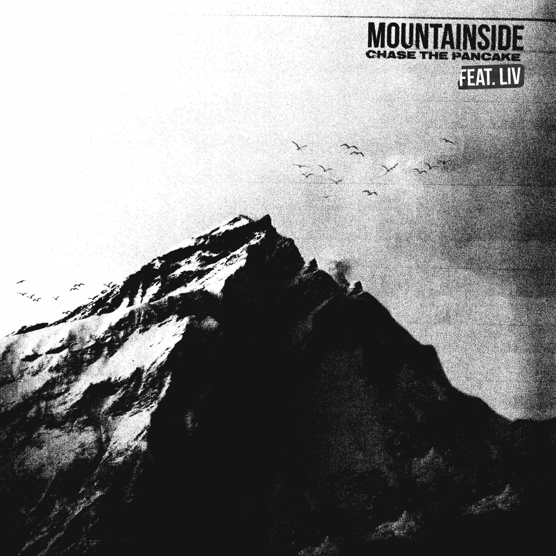 Album cover of Mountainside (feat. LIV)