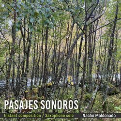 Cover of Pasajes Sonoros, Instant Composition / Saxophone Solo