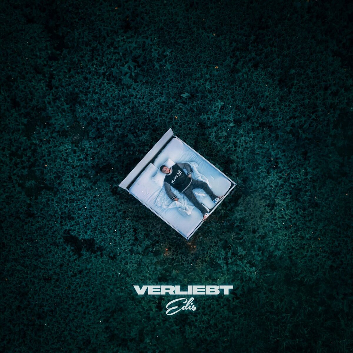 Album cover of Verliebt