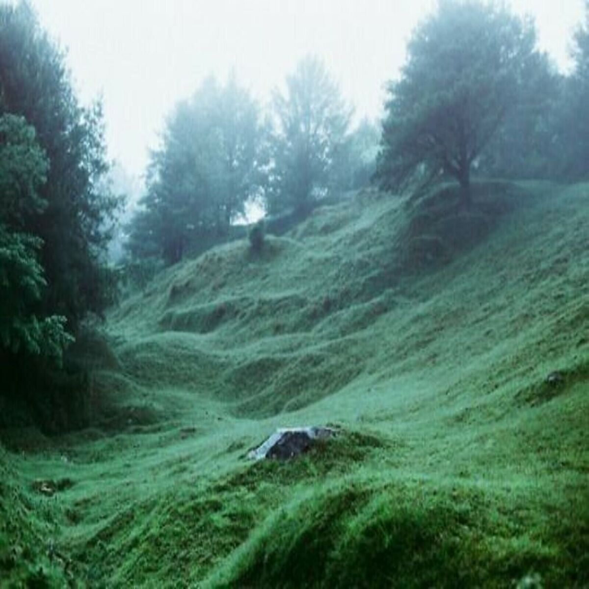 Album cover of LØve D3ath RØbØt