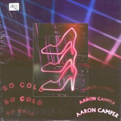 Cover of So Cold